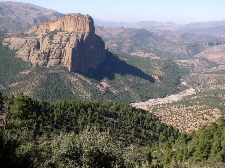 atlas-morocco-tour