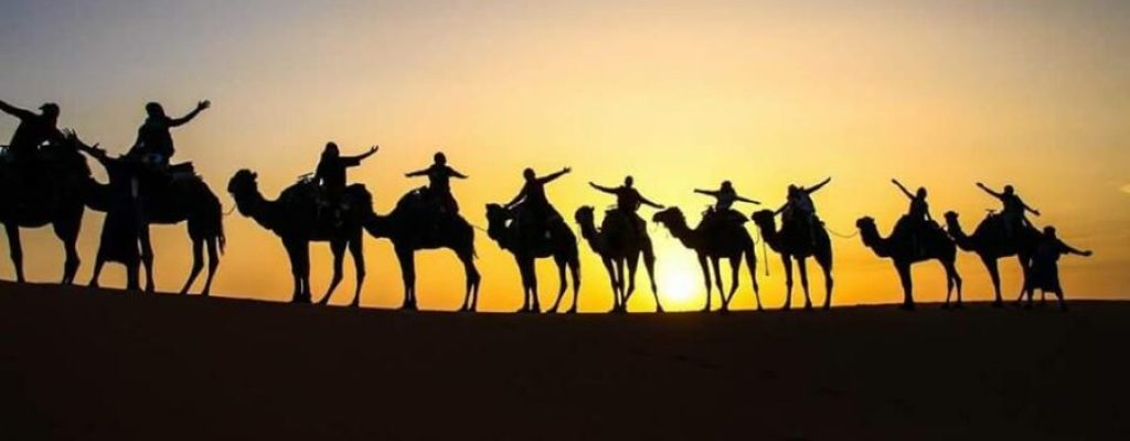 camel-trekking